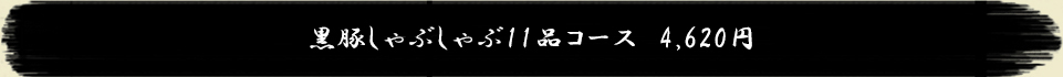 黒豚しゃぶしゃぶ11品コース 4,620円